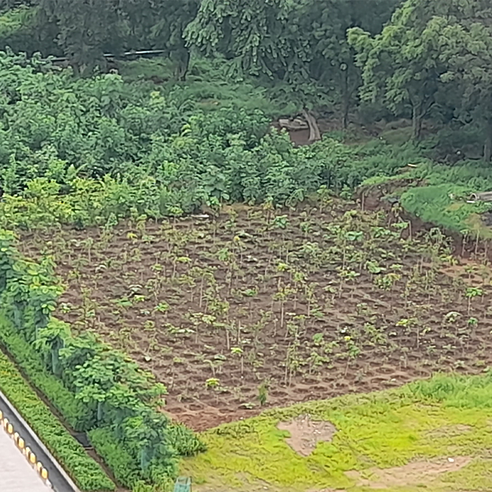 Safety Week Celebrations