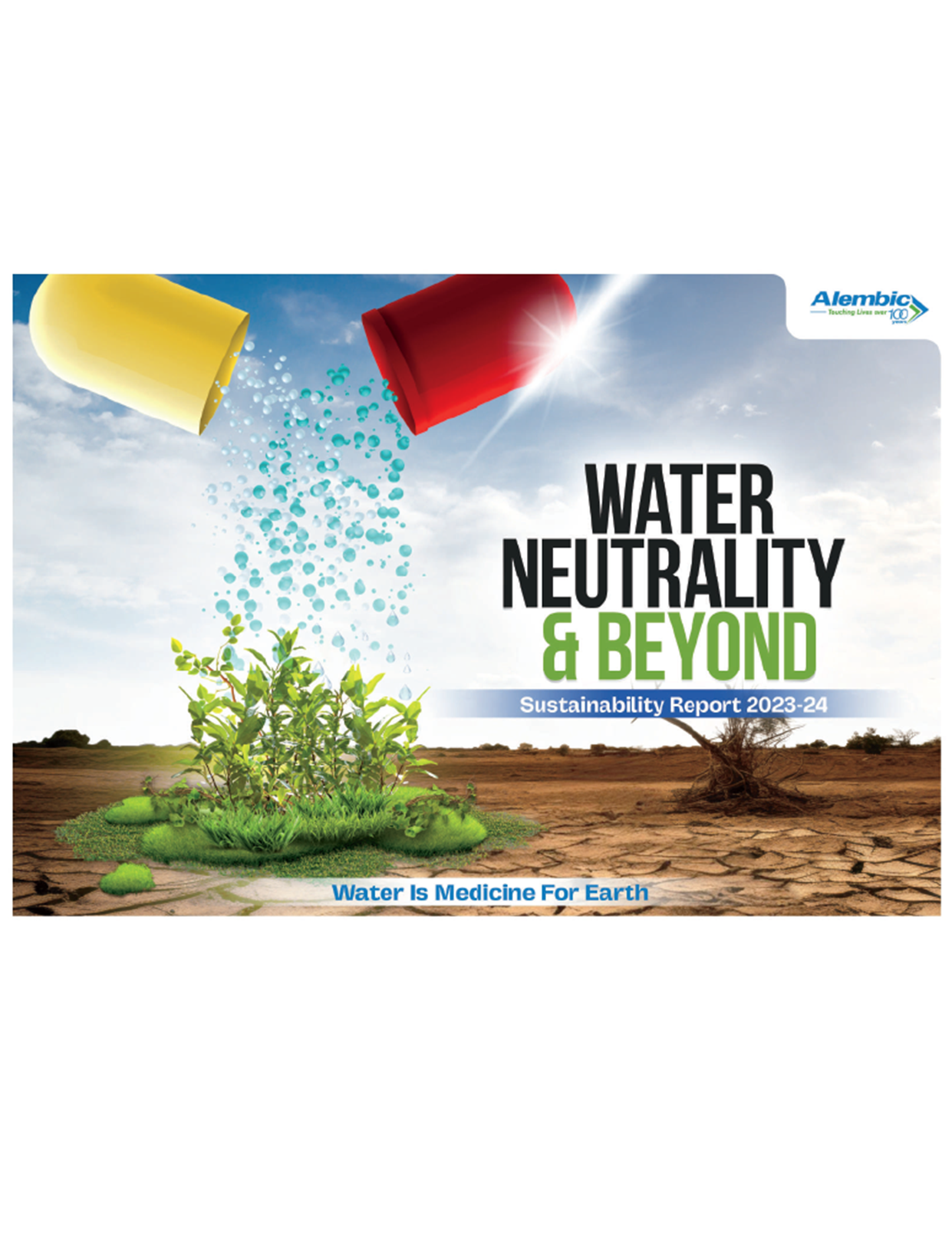 Sustainability Report 2024-2025